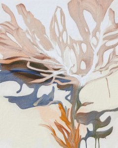 Forme fluide organiche da Alma