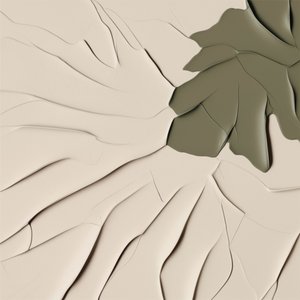 Forme fluide organiche da Alma