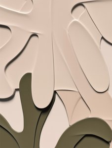 Forme stratificate organiche