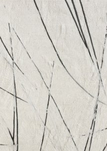 Linee organiche - Texture