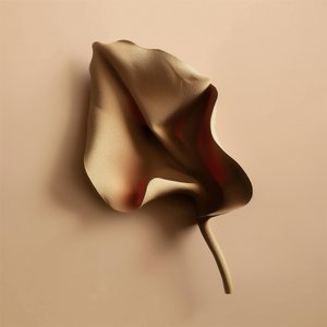 Forma morbida e organica