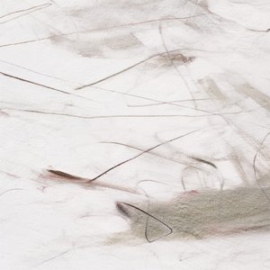 Linee morbide e sinuose da Alma