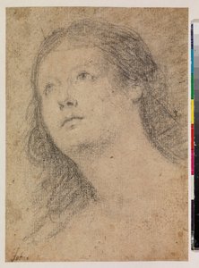 Testa di una donna che guarda in alto (recto)