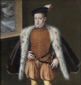 Don Carlos, Principe delle Asturie, 1555-1559 da Alonso Sánchez Coello
