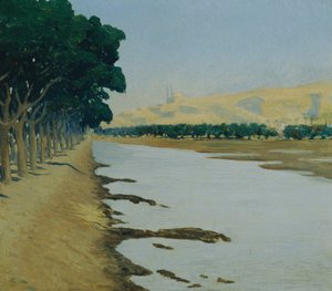Vista della cittadella del Cairo da Alphons Leopold Mielich