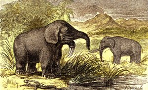 Preistoria-Periodo Miocene: Da destra a sinistra: il Dinoterio e il Mastodonte. Creazione Naturale e esseri viventi. Disegno di A. Demarle. 1885 da Alphonse Demarle
