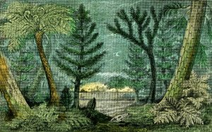 Preistoria, periodo del carbone: Palude e foresta del periodo carbonifero (J. Rrengade)