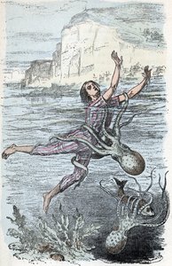 Tavola zoologica; mollusco cefalopode, bagnante catturato da un grande polpo e musquee eledone (Tavola zoologica: nuotatore catturato da un polpo) Incisione da 