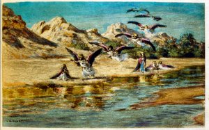 Illustrazione di Dinet da 