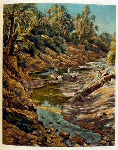 Illustrazione di Dinet da 