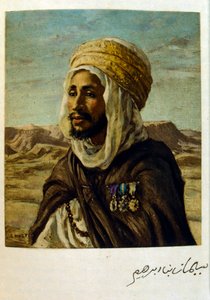 Illustrazione di Dinet da 