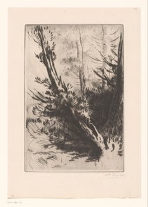 Alberi da Alphonse Legros (signed by artist)