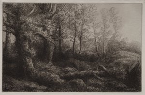Studio di un bosco da Alphonse Legros