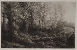 Uno studio nel bosco da Alphonse Legros