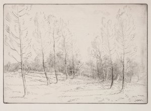 Viale di pioppi da Alphonse Legros