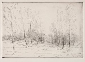 Viale di pioppi da Alphonse Legros