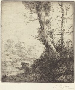 Bordi dell
