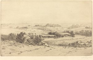 Le rive della Yanne