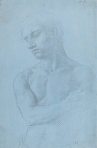 Busto di uomo nudo da Alphonse Legros