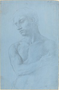 Busto di uomo nudo da Alphonse Legros