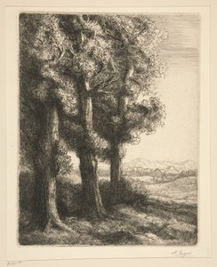 Un angolo di bosco da Alphonse Legros