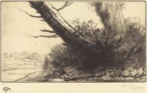 Angolo di un sentiero da Alphonse Legros