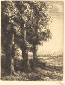 Angolo di un bosco da Alphonse Legros