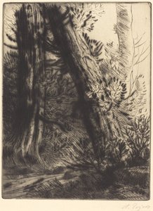 Bordo di un ruscello da Alphonse Legros