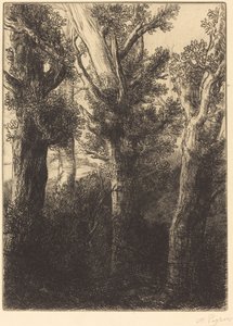 Foresta tedesca, Downley