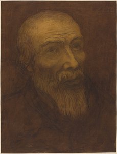 Testa di un uomo calvo con barba da Alphonse Legros