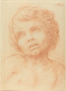 Testa di un bambino