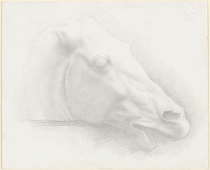 Testa di cavallo dal Partenone