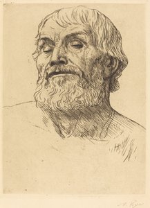 Testa di un Uomo (Tête d