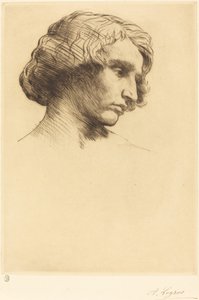 Testa di un uomo