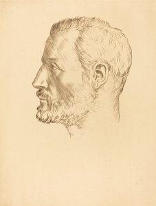 Testa di un uomo