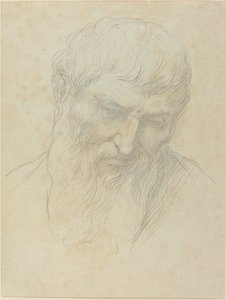 Testa di un uomo con capelli ricci e barba da Alphonse Legros