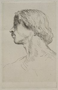Testa di un modello da Alphonse Legros