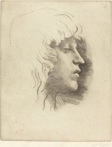 Testa di una giovane ragazza (Tête de jeune fille)
