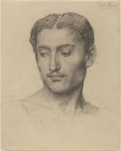 Testa di un giovane uomo da Alphonse Legros