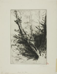 Nel bosco da Alphonse Legros