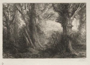 Nella foresta a Conteville