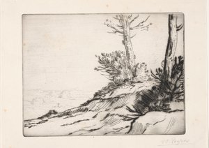 La collina con i cespugli da Alphonse Legros