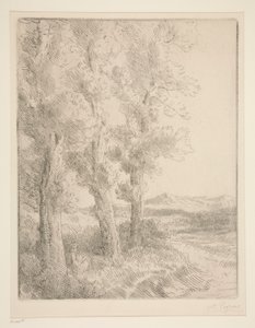 La lettrice: La lettura sotto gli alberi da Alphonse Legros