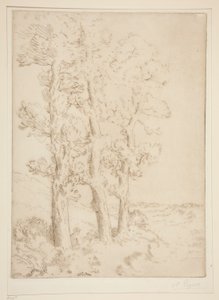La lettrice: La lezione sotto gli alberi da Alphonse Legros