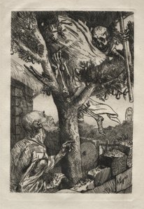 La morte nel pero