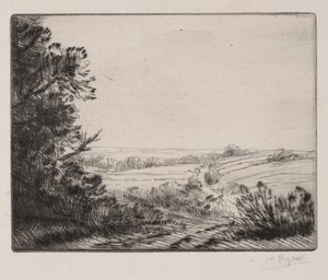 Paesaggio