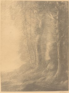 Paesaggio