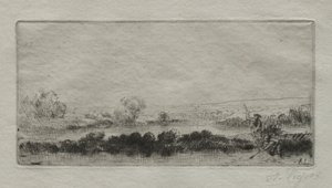 Paesaggio con torbiera: nella palude da Alphonse Legros