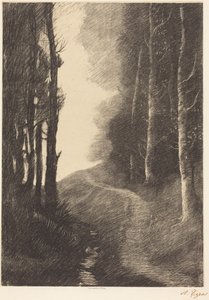 Paesaggio con betulle