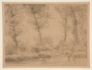 Le rive della Liane